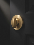 Cast Thumb Turn in Cast Brass, installed on a charcoal door